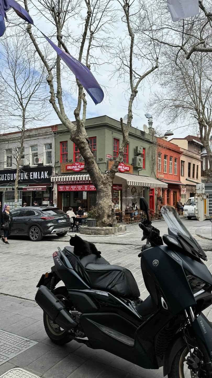 Ускюдар и Кузгунджук: квест-экскурсия по двум мирам Стамбула (Svetlana)