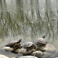 Фото отзыва 3: экскурсия "Геленджик и «Голубая бездна» — поездка по основным достопримечательностям"