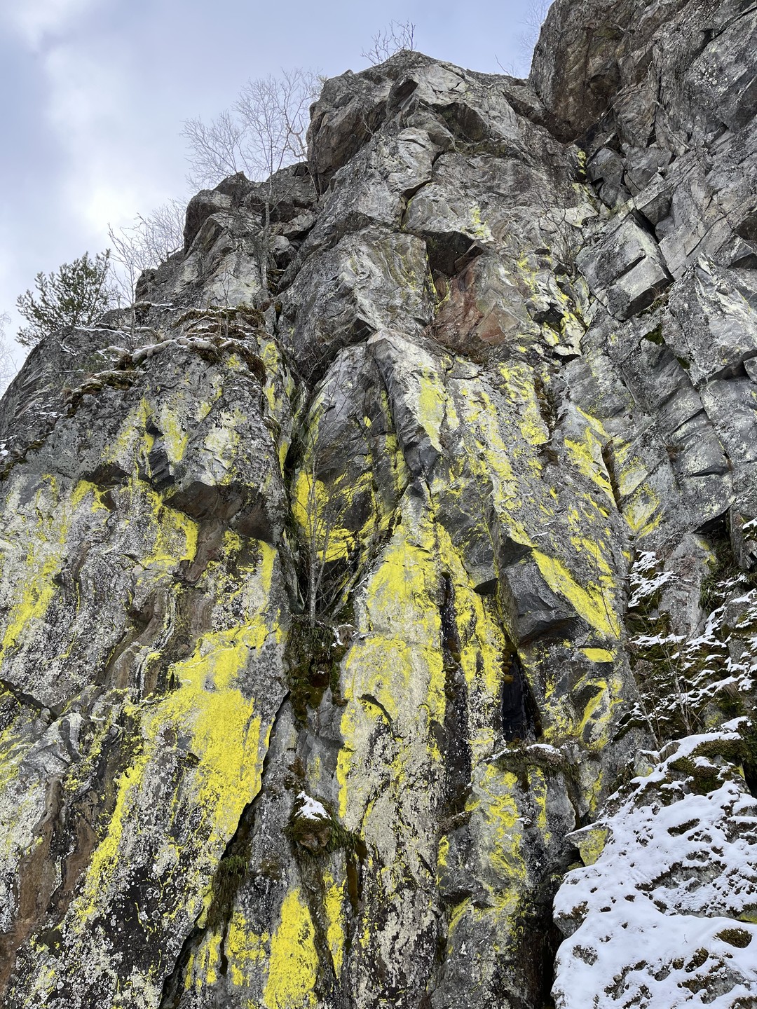 Зимняя Ладога на аэролодке (Екатерина)