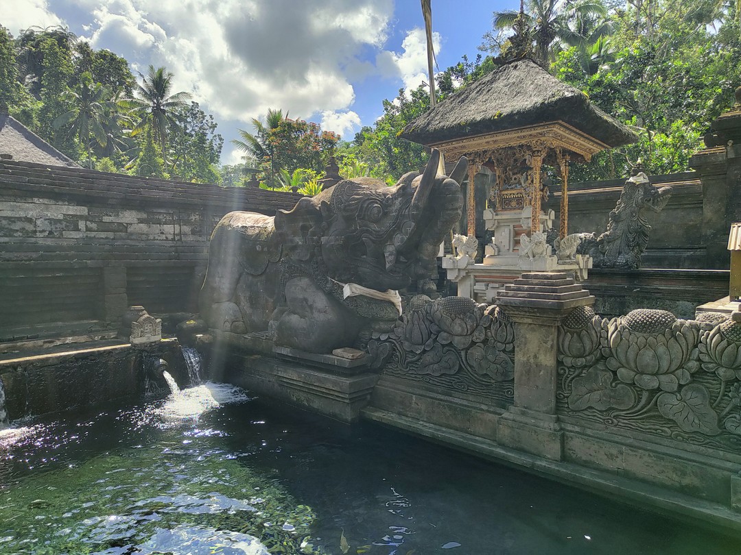 Первая остановка рисовые террасы Tegalalang, вторая Pura Tirtha Empul, далее обзорная площадка с видом на вулканы