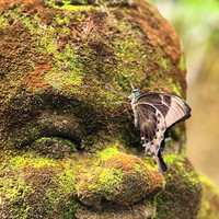 Фото отзыва 3: экскурсия "Традиции и обряды Бали"