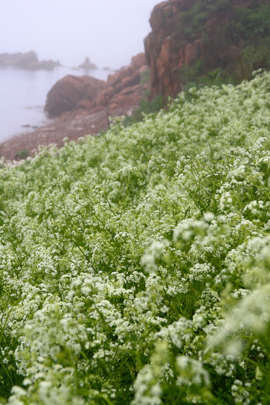Из Владивостока — на остров Попова (6/10)