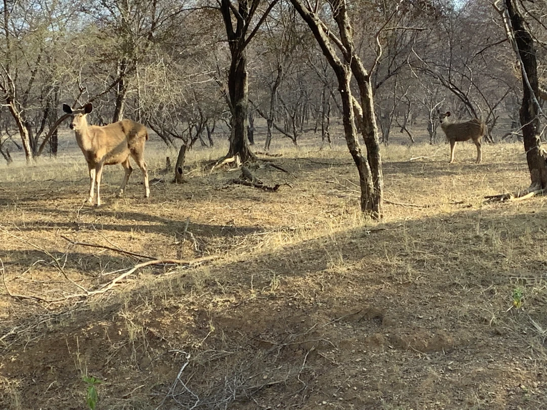 Огромное спасибо Анису- он супер гид и замечательный человек!!!
