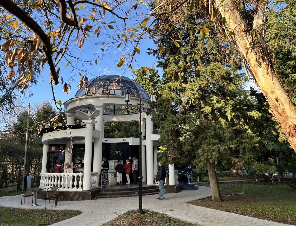 Нескучный Сочи для всей семьи (6/24)