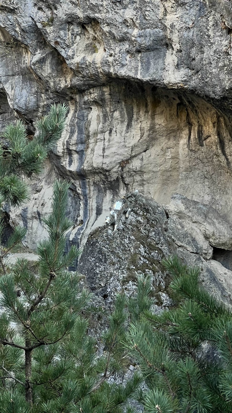 Поездка в группе «Осетия - любовь с первого взгляда!» (Ирина)