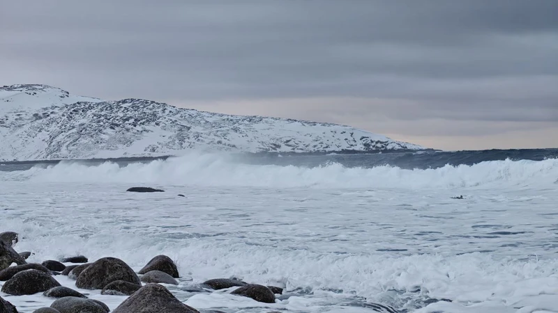 Лучшие моменты наедине: индивидуальная экскурсия в Териберку с комфортом и без спешки (Анастасия)