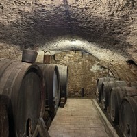 Фото отзыва 1: экскурсия "Вршац: старинные винарии, история и культура"