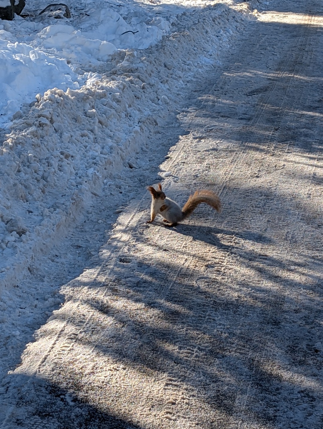 Очень впечатлила эта экскурсия! Шикарные, потрясающие виды, интересный маршрут, приятное общение, вкусный обед