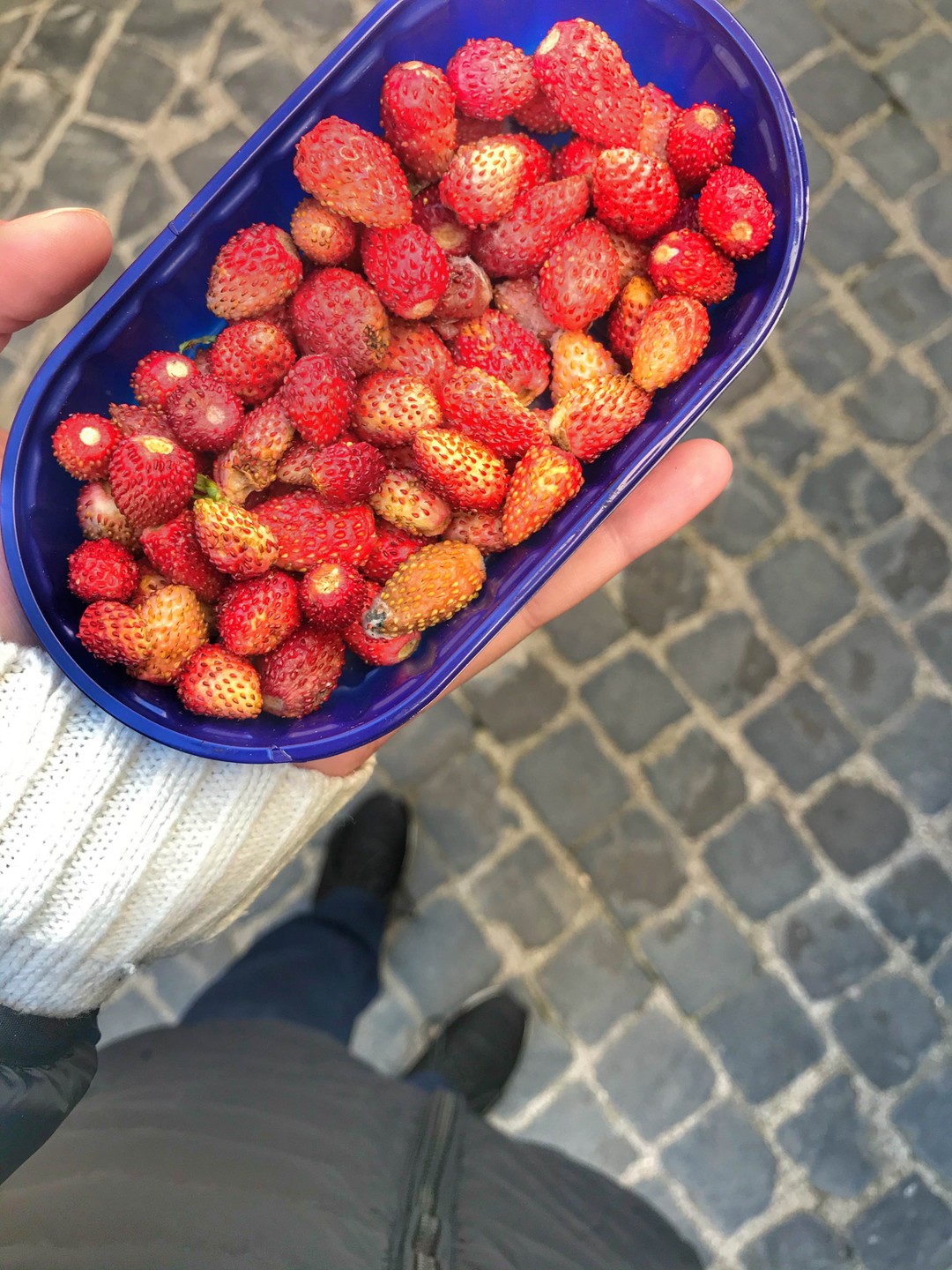 Завораживающие окрестности Рима (Елена)