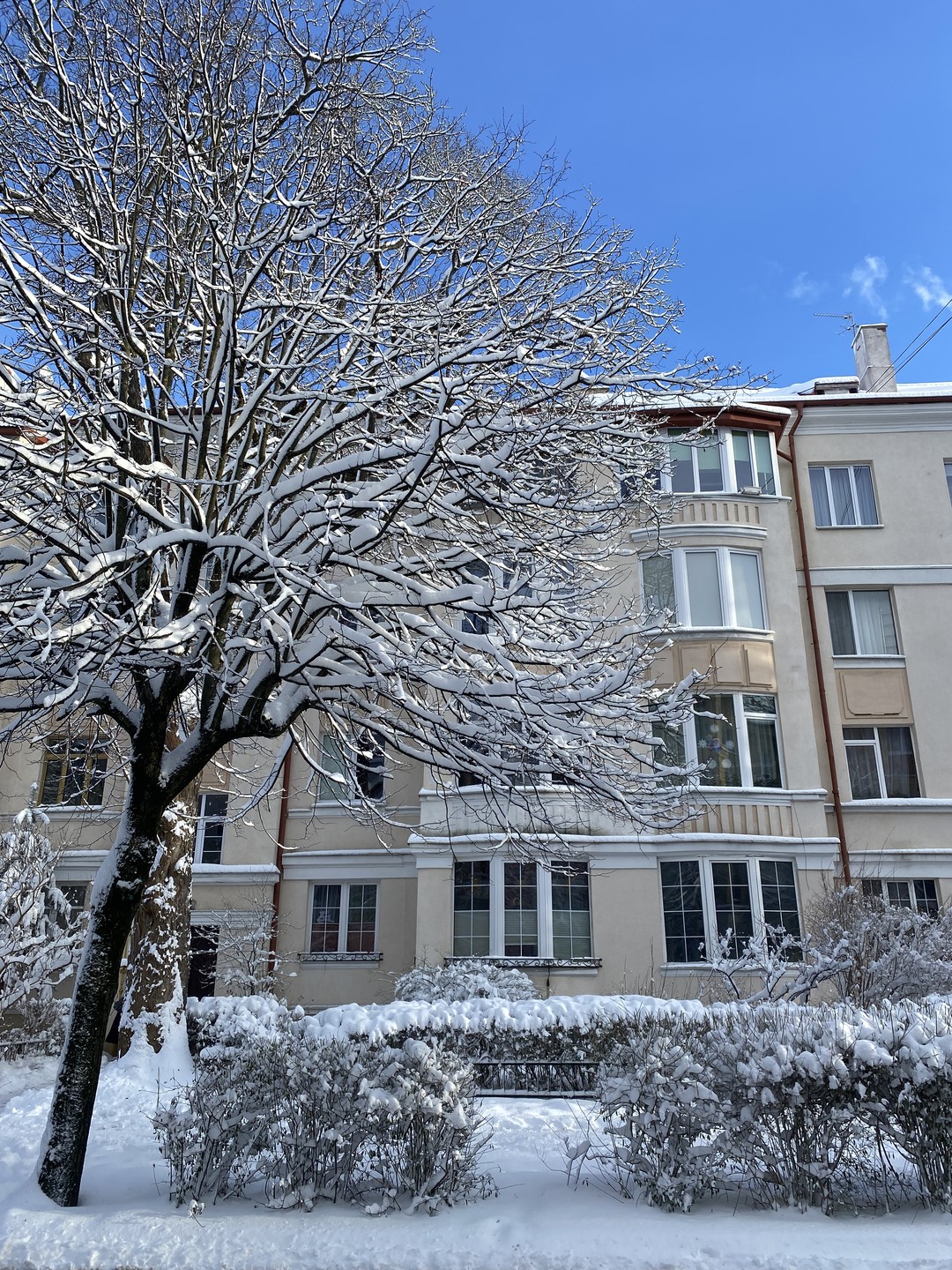 Очень качественная и интересная экскурсия! Хорошо построен маршрут, очень интересный рассказ. Алла прекрасно взаимодействует с детьми