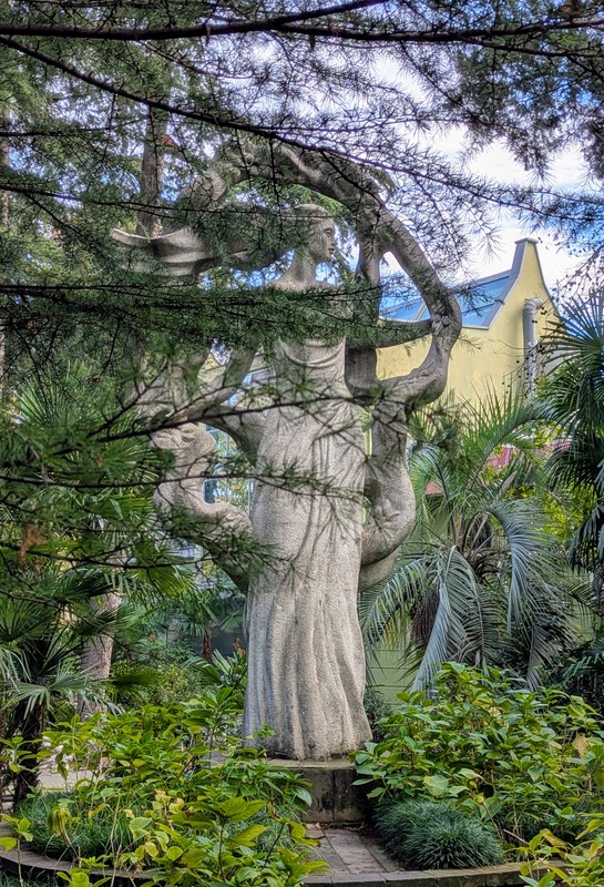 Сочи глазами местных