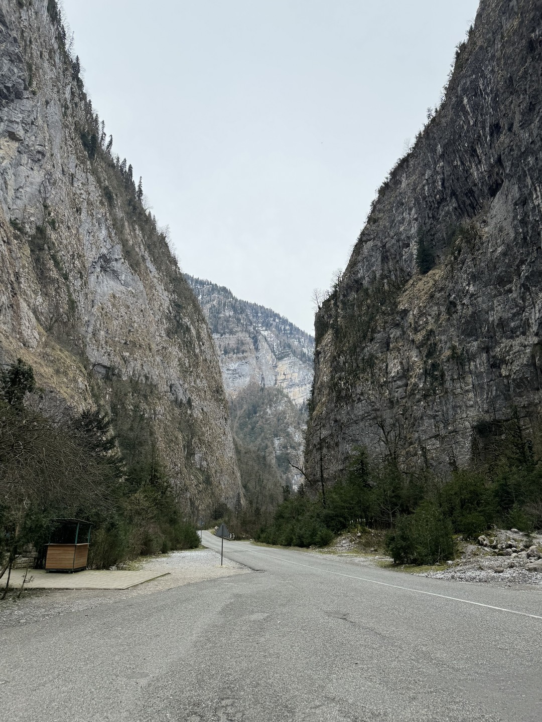 Чары Абхазии (из Сочи) (Анастасия)