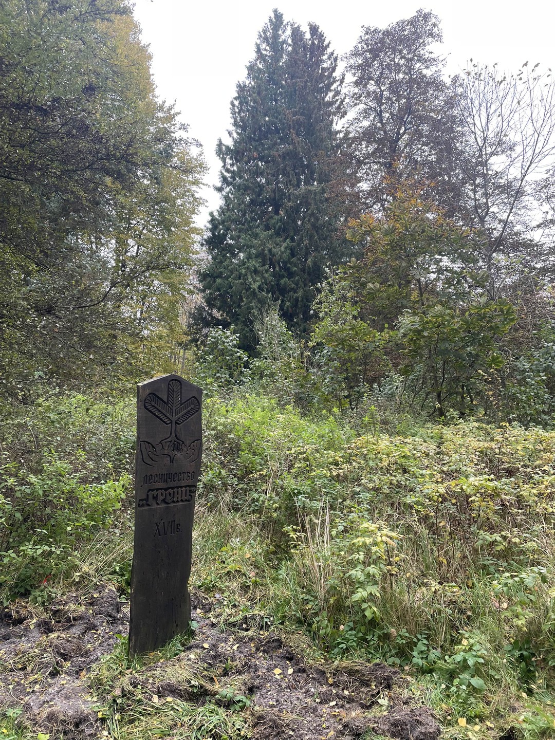 Спасибо за прекрасно организованную экскурсию, отдельная благодарность экскурсоводу (и водителю) Леониду. Экскурсия прошла максимально познавательно и