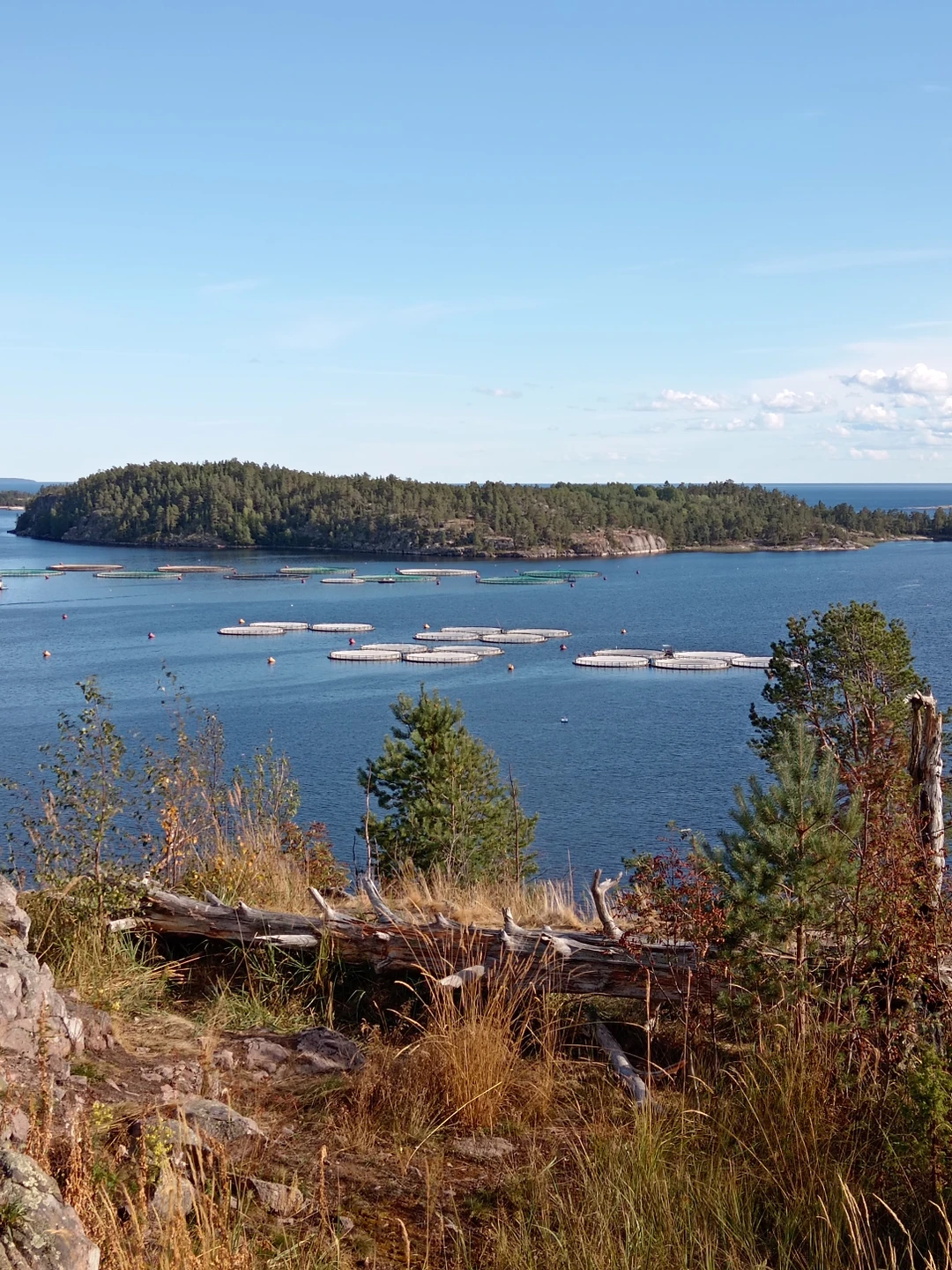 Место силы Карелии (Татьяна)