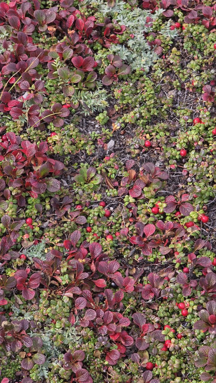 Ездили с Виталием. Классный гид, дружелюбный, много рассказывал интересного, всех ждал на подьеме. Нам повезло с