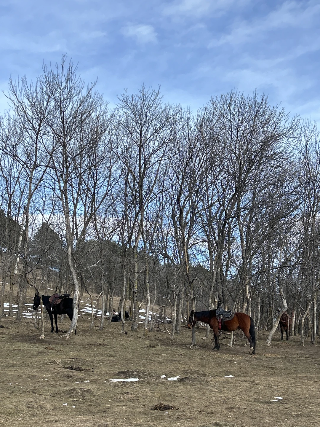 Потрясающая конная прогулка к Березовскому ущелью! Лошади были спокойные и надежные, маршрут очень живописный, а виды