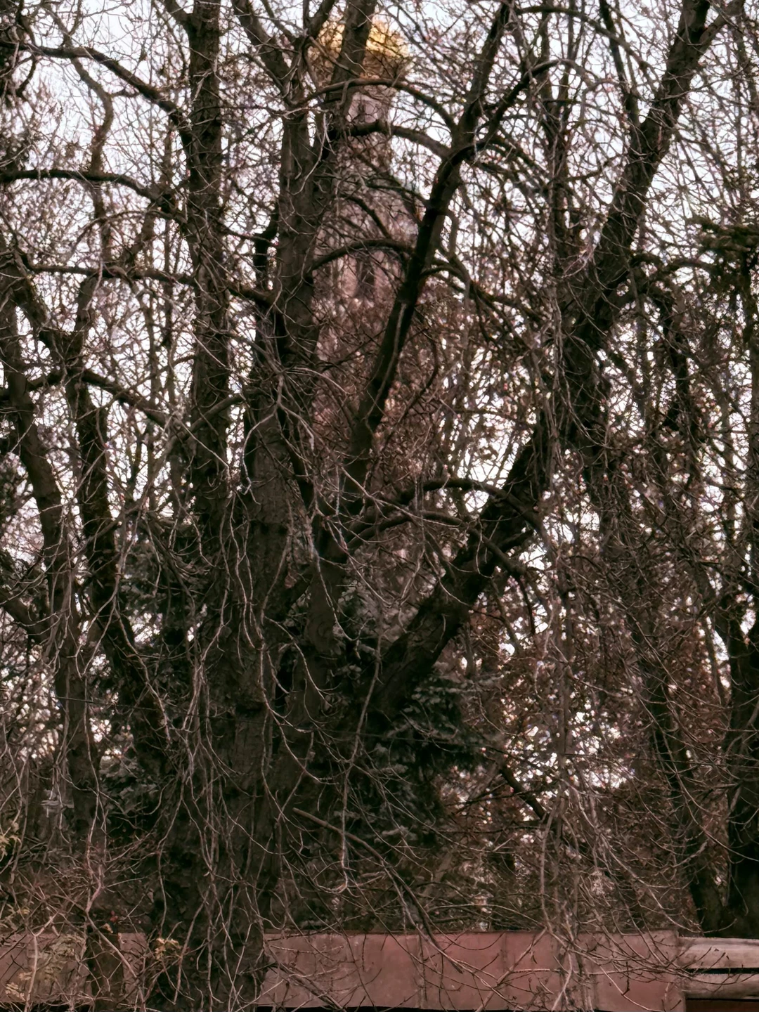 Очень понравилась экскурсия