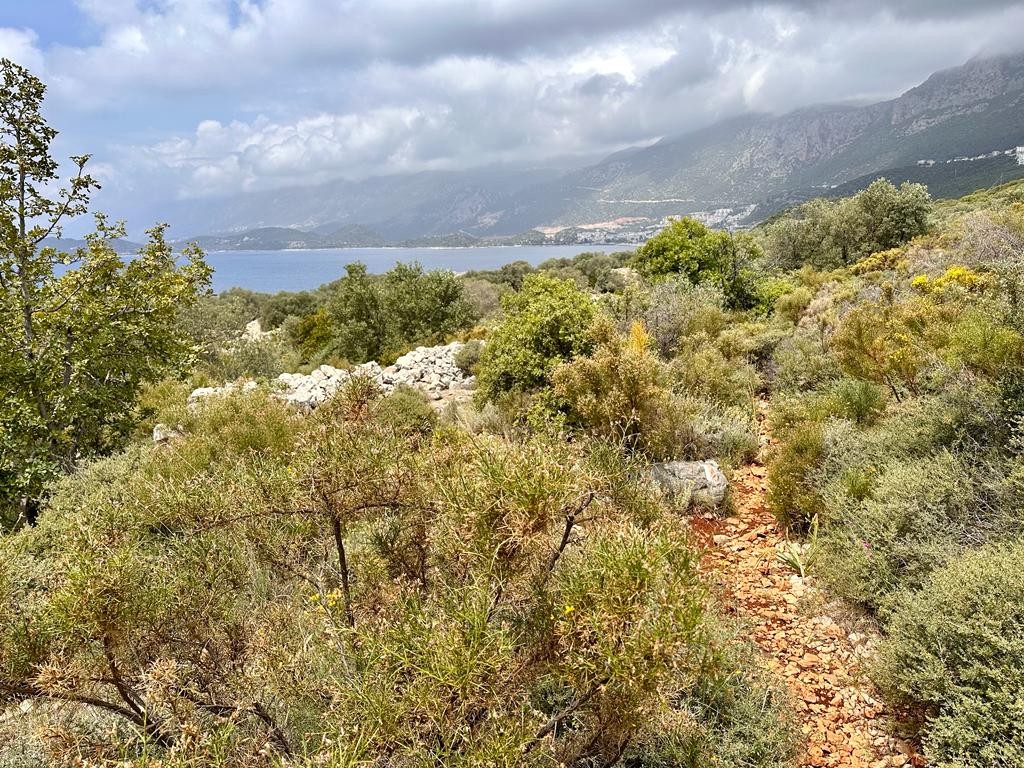 Хотела бы поблагодарить Марину за невероятный день, проведенный на майских праздниках в Каше и окрестностях. За