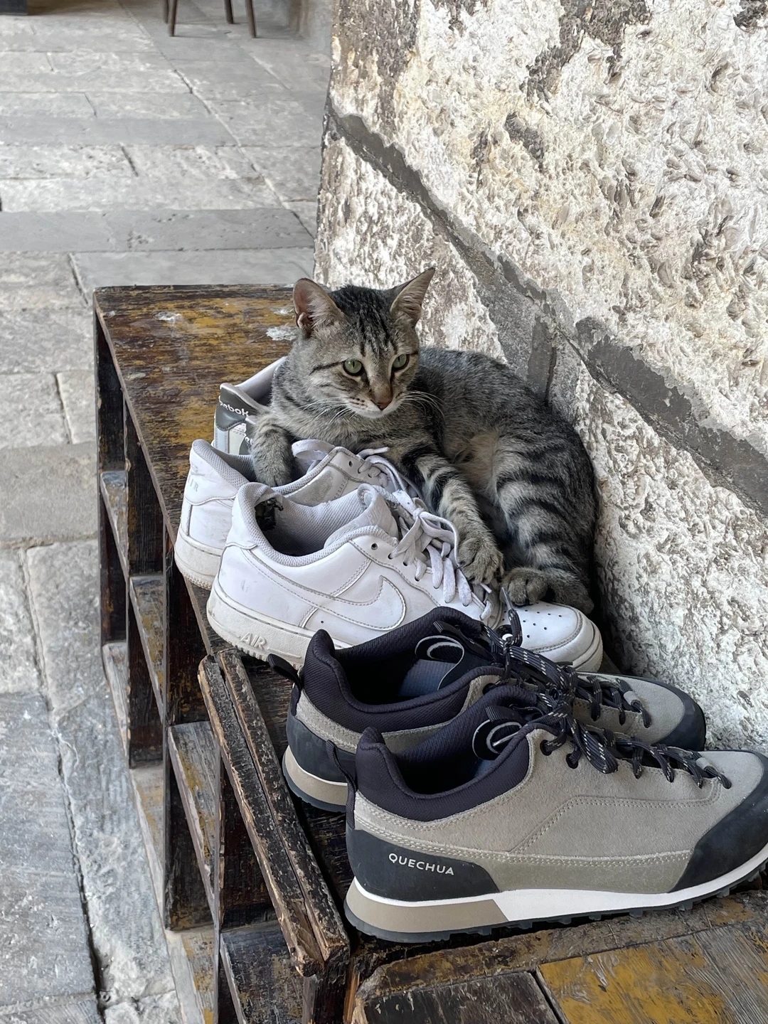 Большое спасибо за экскурсию, все очень понравилось!