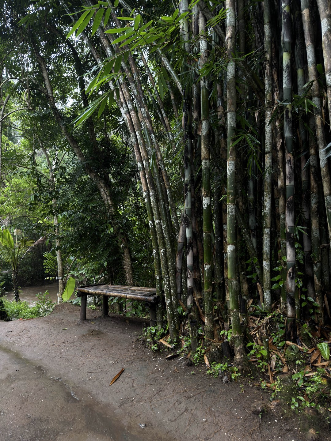 Это лучшая экскурсия, на которой были я и мой муж! Ваян – позитивный, доброжелательный и очень