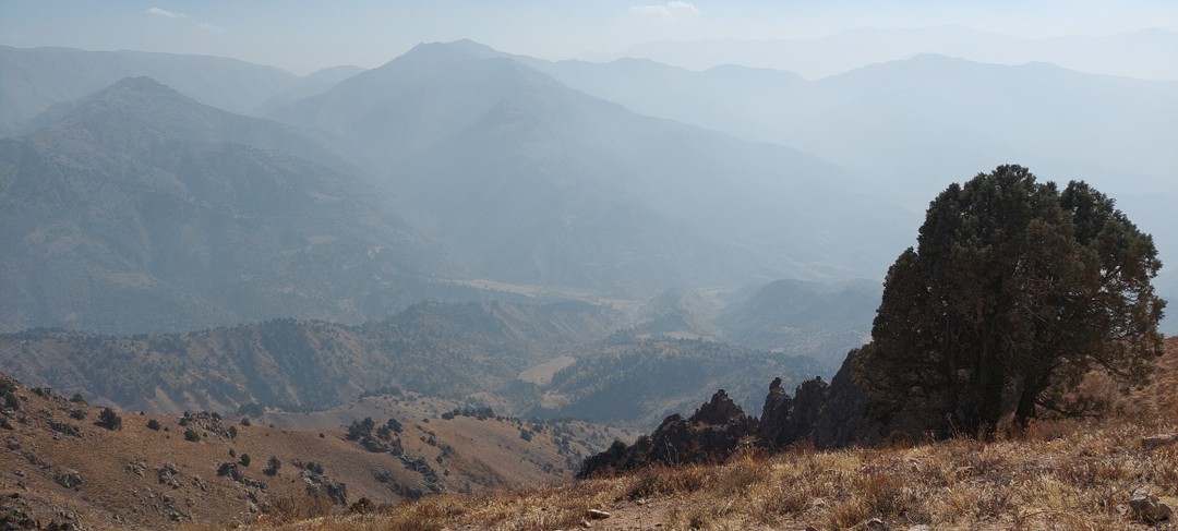 Золотой квартет Узбекистана: Ташкент, Бухара, Самарканд и горы Чимган (Людмила)