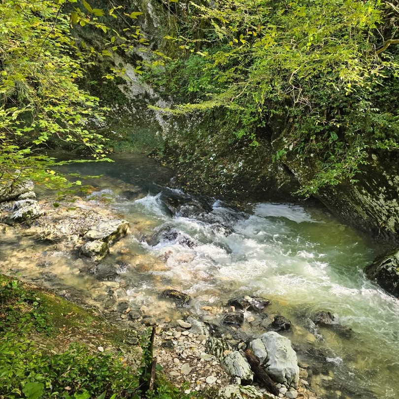 Поездка на джипе из Нового Афона - к озеру Рица и Гегскому водопаду (Владимир)