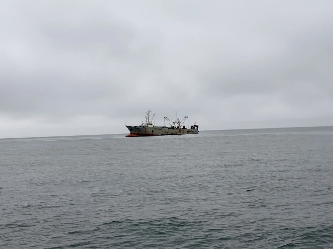 Экскурсия очень понравилась! Рыбалка была интересной 🎣 Видели касаток ☺️ Уха, краб и рыба были отменными