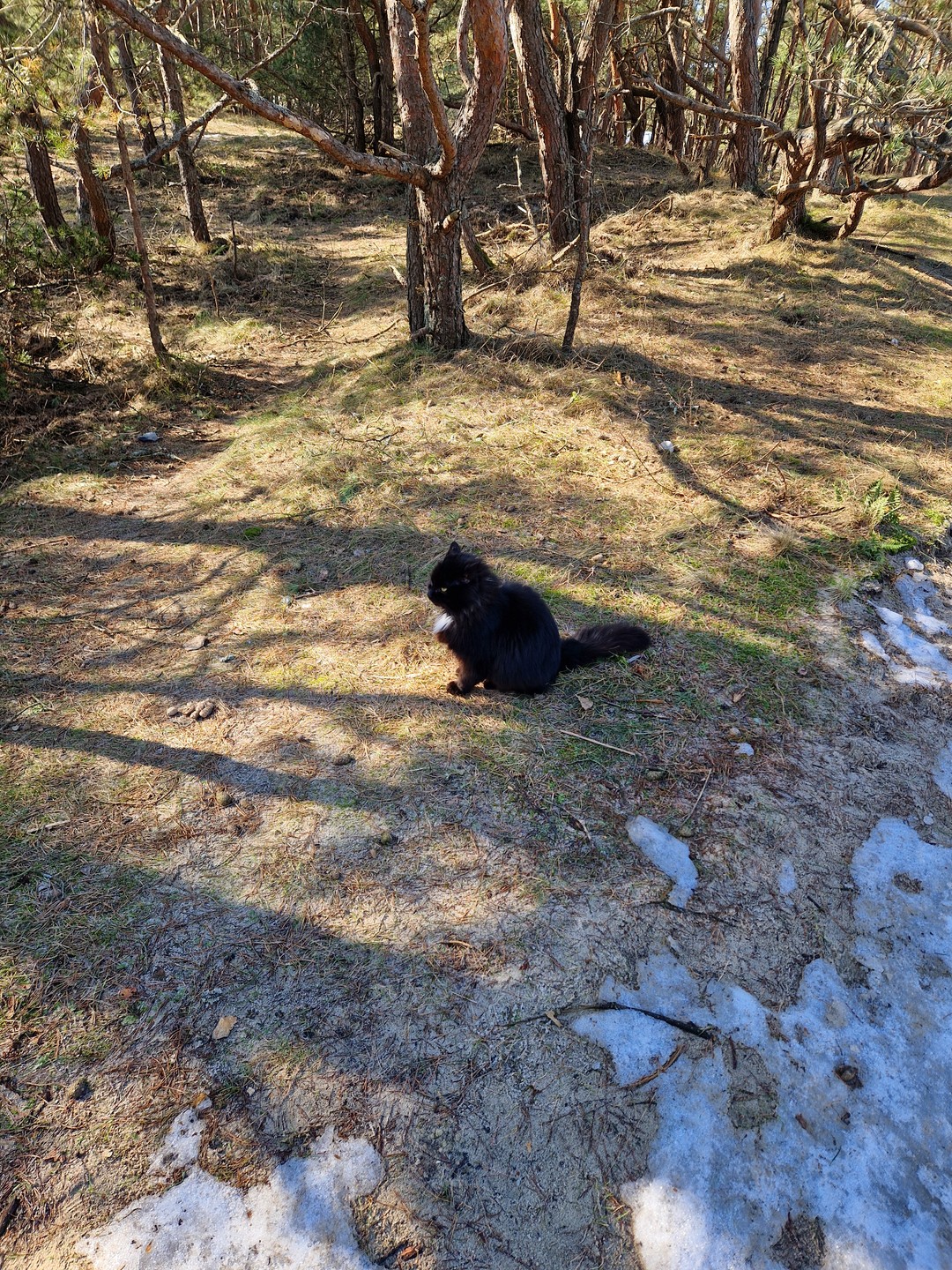 Экскурсия, в целом, понравилась: во время перемещения между объектами озвучивалась основная информация, потому на самом объекте