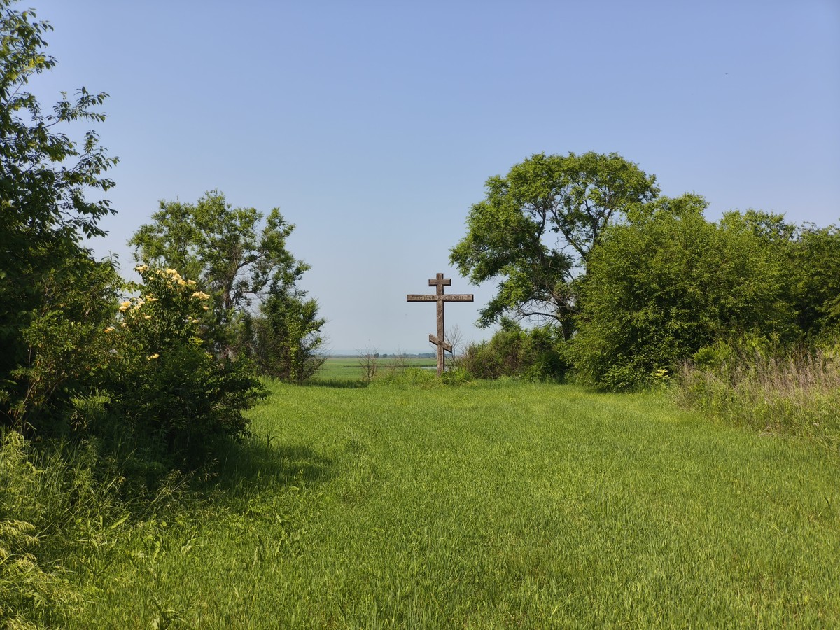 Муравьёвский парк: в гости к японскому журавлю (10/11)
