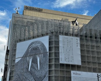 Токио: от императорских парков до высот Shibuya Sky
