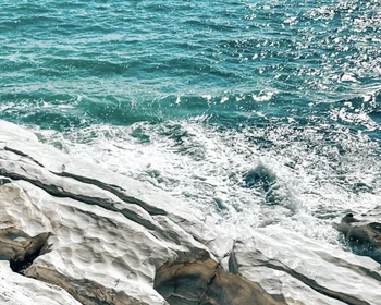 Фото отзыва 3: авторский тур "Новый год по-абхазски: душевное застолье с развлекательной программой и лучшие локации"