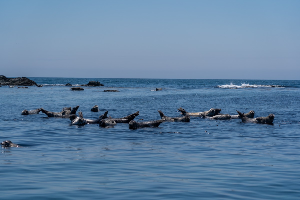 На катере — к острову Аскольд (из Владивостока) (15/18)
