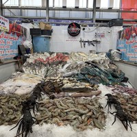 Фото отзыва 3: экскурсия "Хургада глазами зимовщицы"