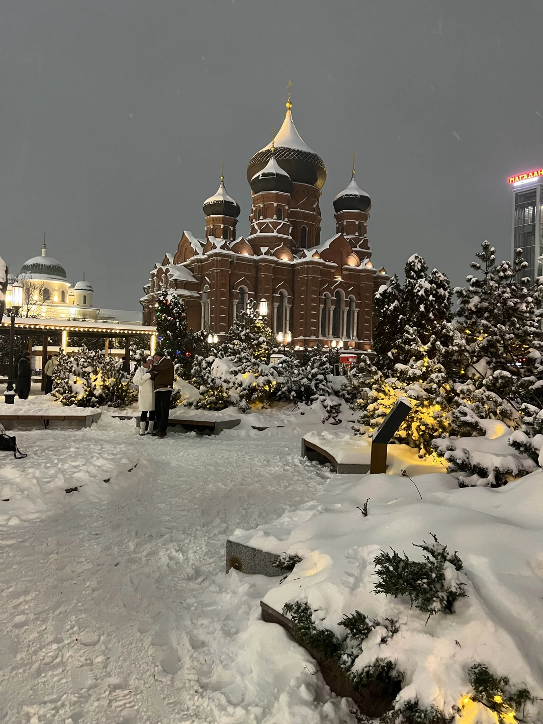 Мы знакомились с Тулой и с Лилей 8 января. Очень понравились и Лиля, и Тула. Было