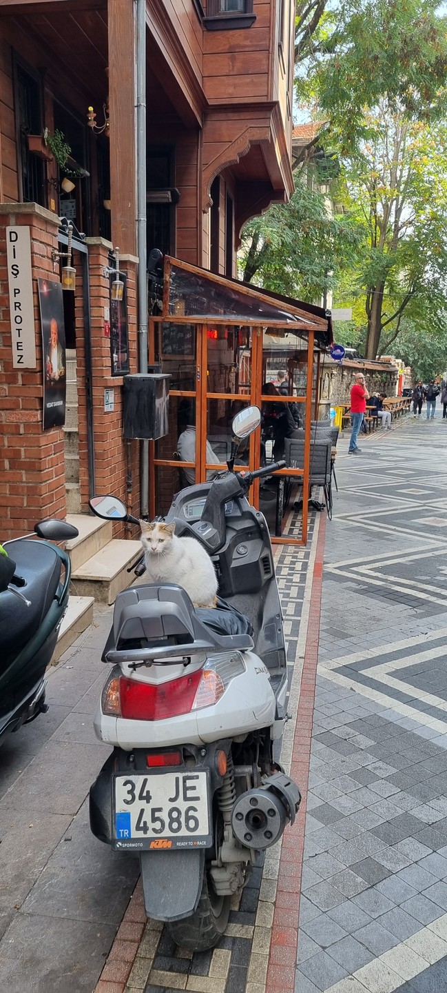 Прогулка-квест по самобытному Кадыкёю (Дарья)