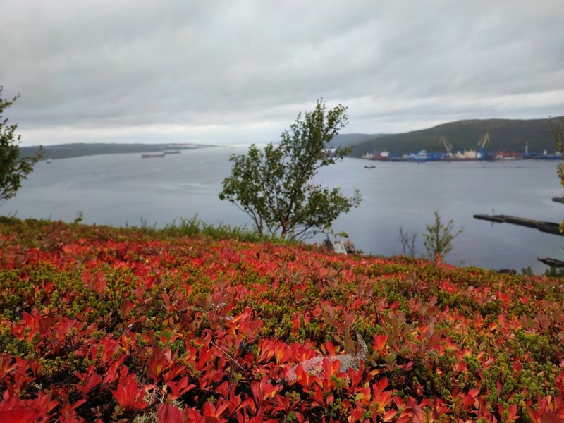 Виды Дыхание Арктики: путешествие вдоль фьорда