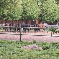 Фото отзыва 1: экскурсия "Старожилово: экскурсия в усадьбу фон Дервиза"