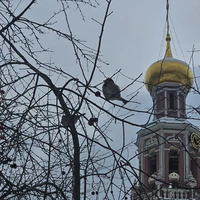 Фото отзыва 3: экскурсия "Женские истории Новодевичьего монастыря"