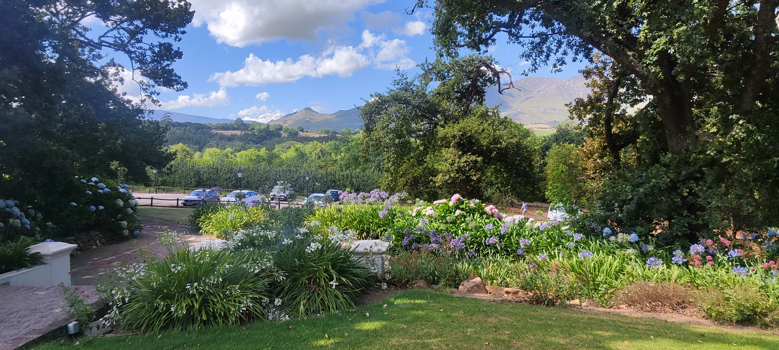 Винное путешествие в Элджин — южноафриканскую Бургундию