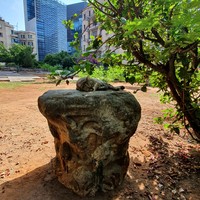 Фото отзыва 1: экскурсия "Бейрут, Библос и пещеры Джейта за 1 день!"