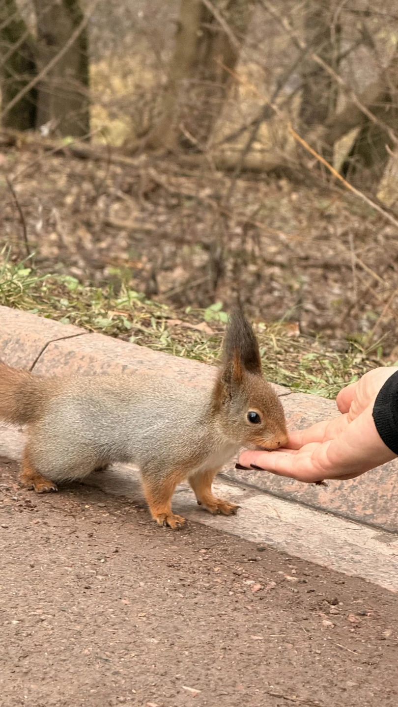 Экскурсия началась вовремя, нам выдали одноразовые наушники, очень удобно оказалось в процессе: была возможность немного отойти