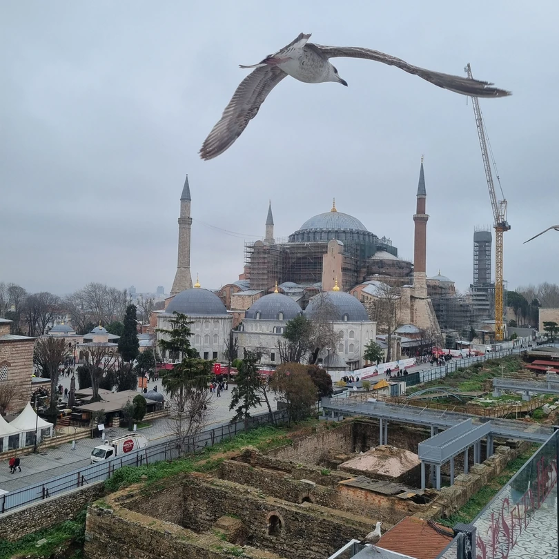Спасибо огромное Алене, несмотря на погоду, отлично провели день!! все наши пожелания были учтены, и прямо