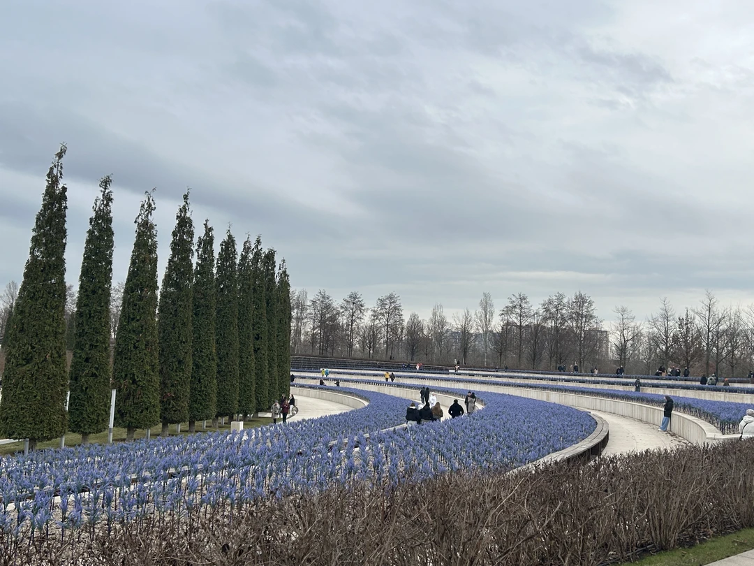 По парку Галицкого - в мини-группе (Светлана)