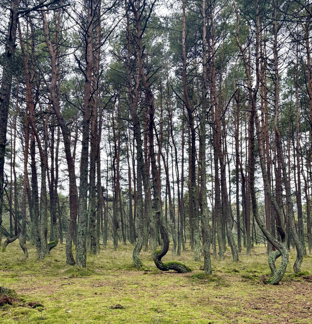 Спасибо, Михаилу, за интересную экскурсию. Рассказал много интересных моментов, маршрут экскурсии позволил детям не устать и