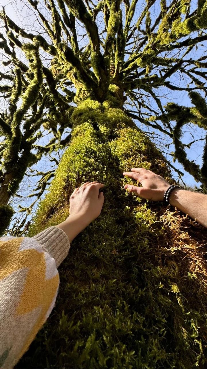 От команды Вовы с нами поехал Гид Дамей. Хотели максимально интересно посетить за 1 день Абхазию.