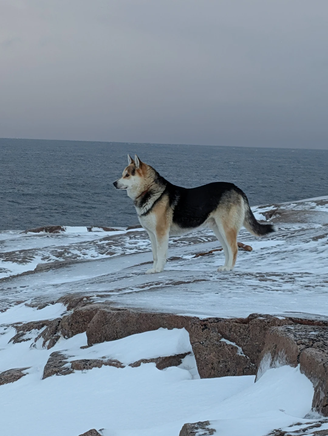 Териберка - ворота потрясающей Арктики (в группе) (Ирина)