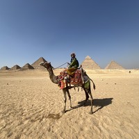 reviews img