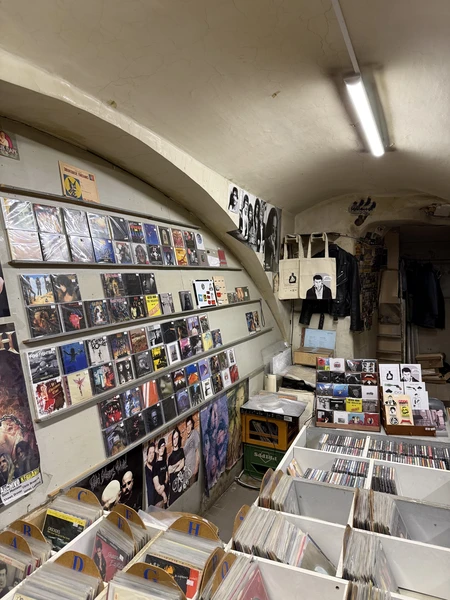 Отличная экскурсия, достаточное количество интересных локаций с атмосферой, спасибо!