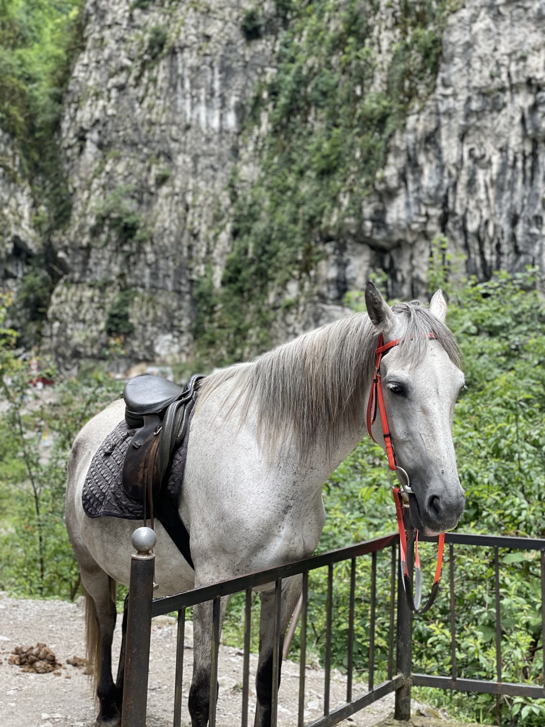Сказать, что экскурсия понравилась – не сказать ничего. Прекрасные горные виды и занимательные истории- 14 часов