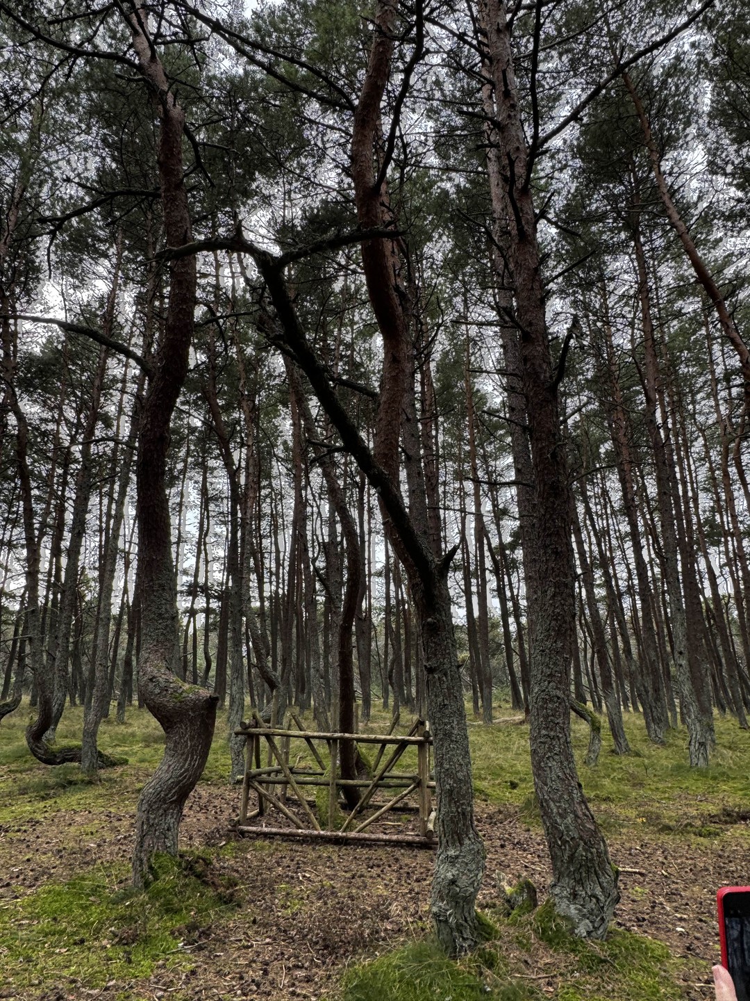 Прекрасный насыщенный тур по Калининграду и областным городам, от которых мы, как туристы, пришли в не